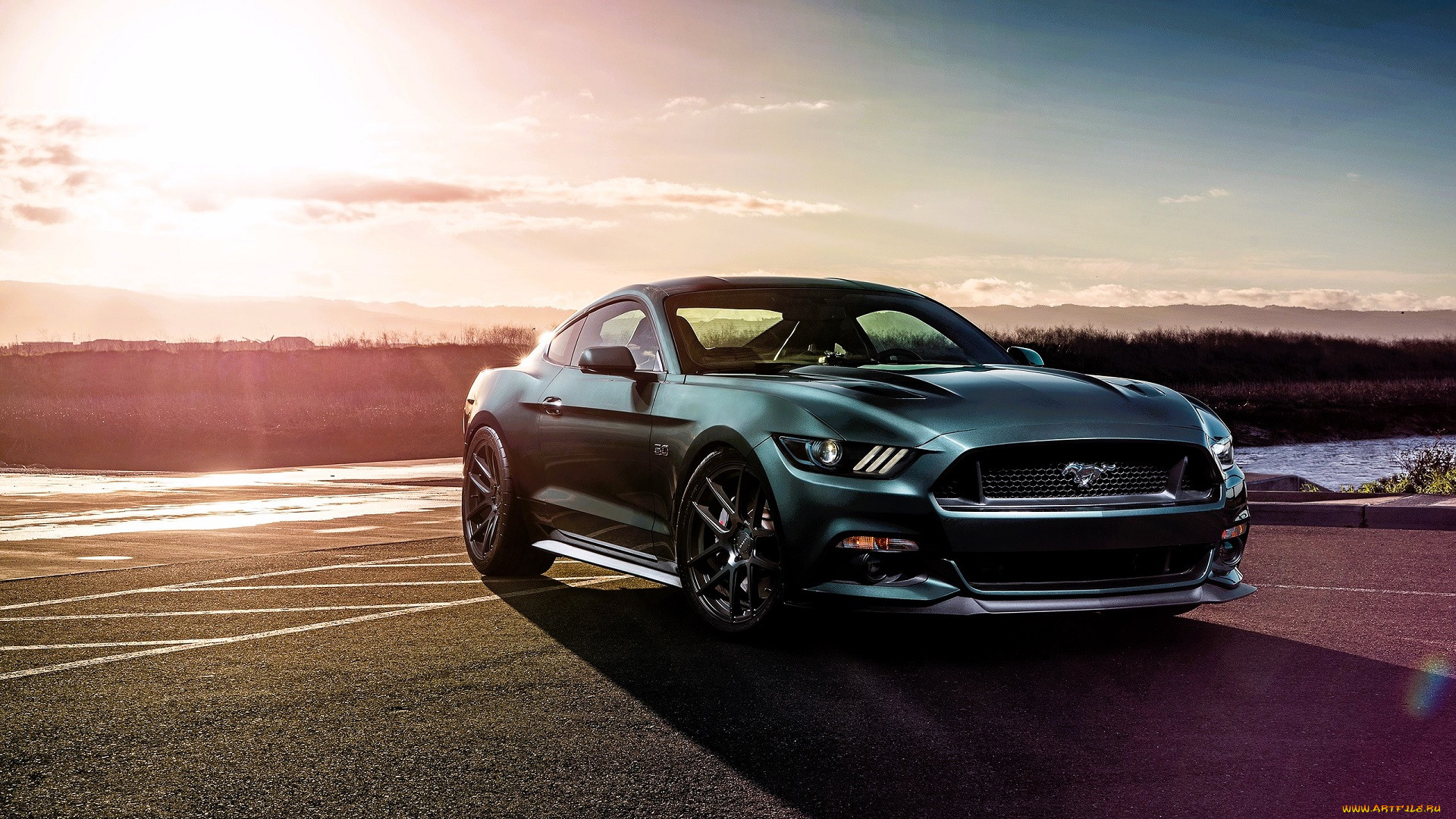 ford mustang gt, , mustang, , , 